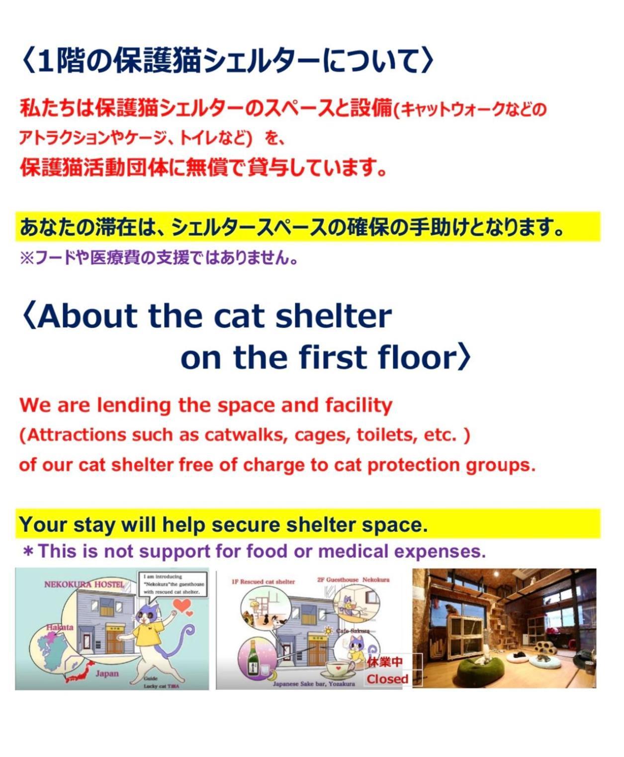 Nekokura Hostel Fukuoka  Luaran gambar