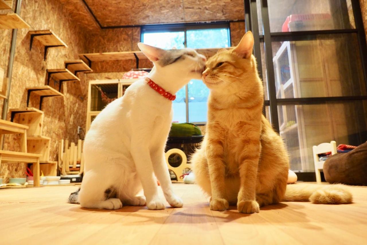 Nekokura Hostel Fukuoka  Luaran gambar